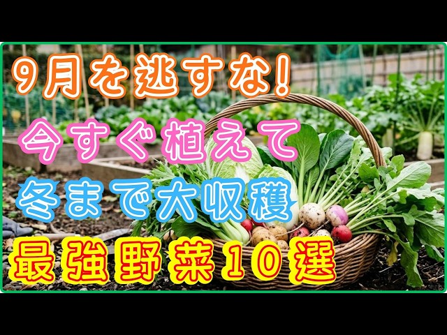 Don't Miss September! Get Sweeter Vegetables in Winter! 10 Best