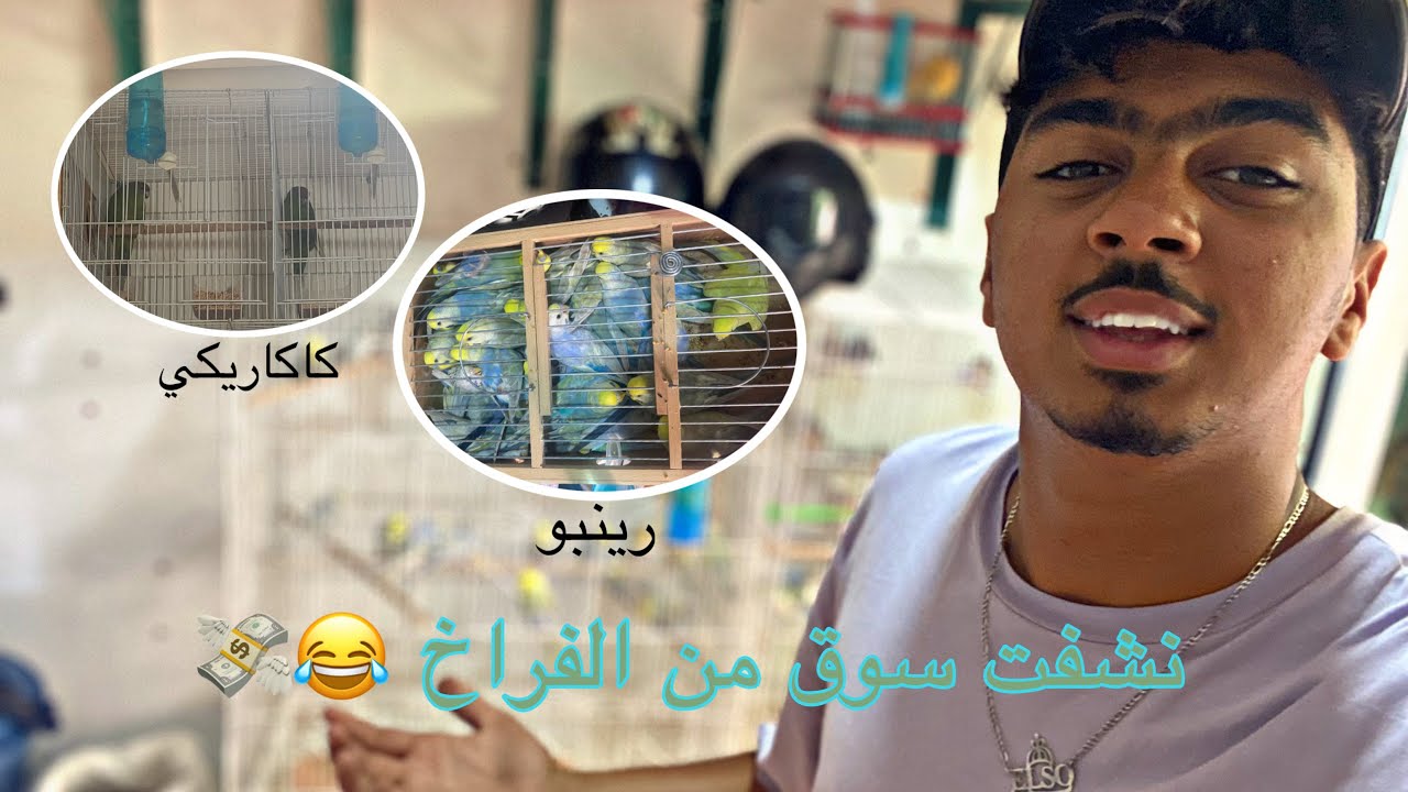 مشيت لسوق القريعه  وشريت أزيد من 4000 درهم 🤑 ديال طيور  بيروش رينبو 🪶🌈 و كوبل ببغاء الكاكريكي 🦜