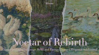 Nectar Of Rebirth 𓇼𓏲𓍯𓂃