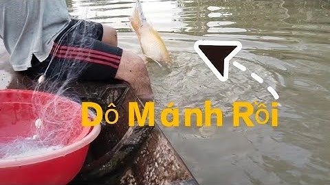 HQC VLog | Giăng lưới trên sông lớn trúng bầy cá chép khủng