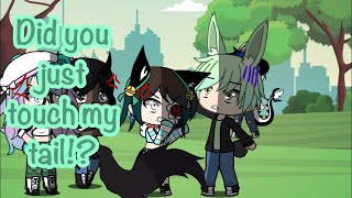 Did you just grab my tail!? •Meme?•