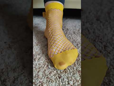 Herbst in Netznylons