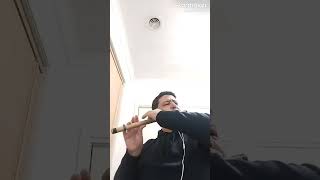 O Duniya Ke Rakhwale Flute Cover Instrumental  Movie Baiju Bawara  Mohammad Rafi