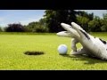 Golf Trick Shots  Legendary Shots - Legendary Shots