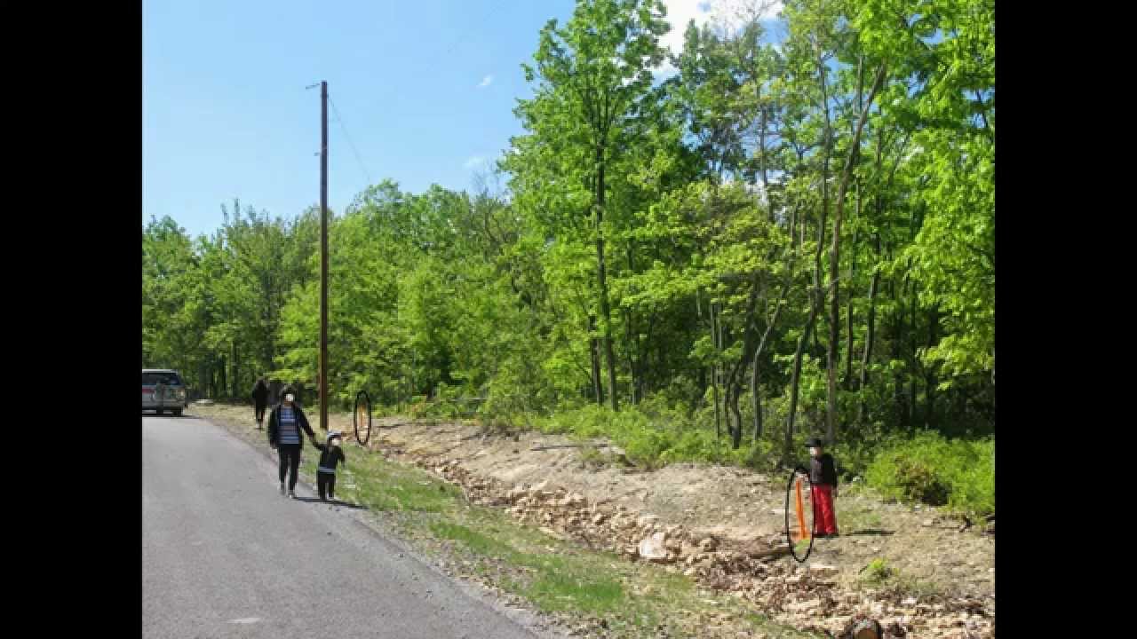 Eagle Rock Resort Lot property for sale (near Hazleton PA) YouTube