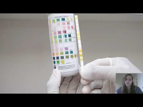 Vídeo: Teste De Gravidade Específica Da Urina: Visão Geral, Testes E Procedimentos