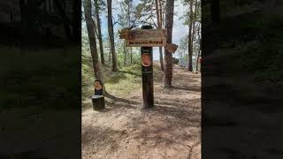 Harz Wanderung Mai 2022 - Langenstein - Gläs.Mönch