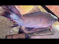 Fastest Fish Cutting Skills | Rohu Fish Cutting By Expert Fish Cutter