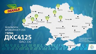 Врожайність гібриду ДКС 4125 у 2025 році