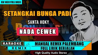 SETANGKAI BUNGA PADI - NADA CEWEK KARAOKE REMIX PALEMBANG