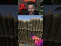 GUESS I'VE NEW FRIENDS ! #rustpvp #rust #facepunch #gaming #jeudesurvie #rustgame
