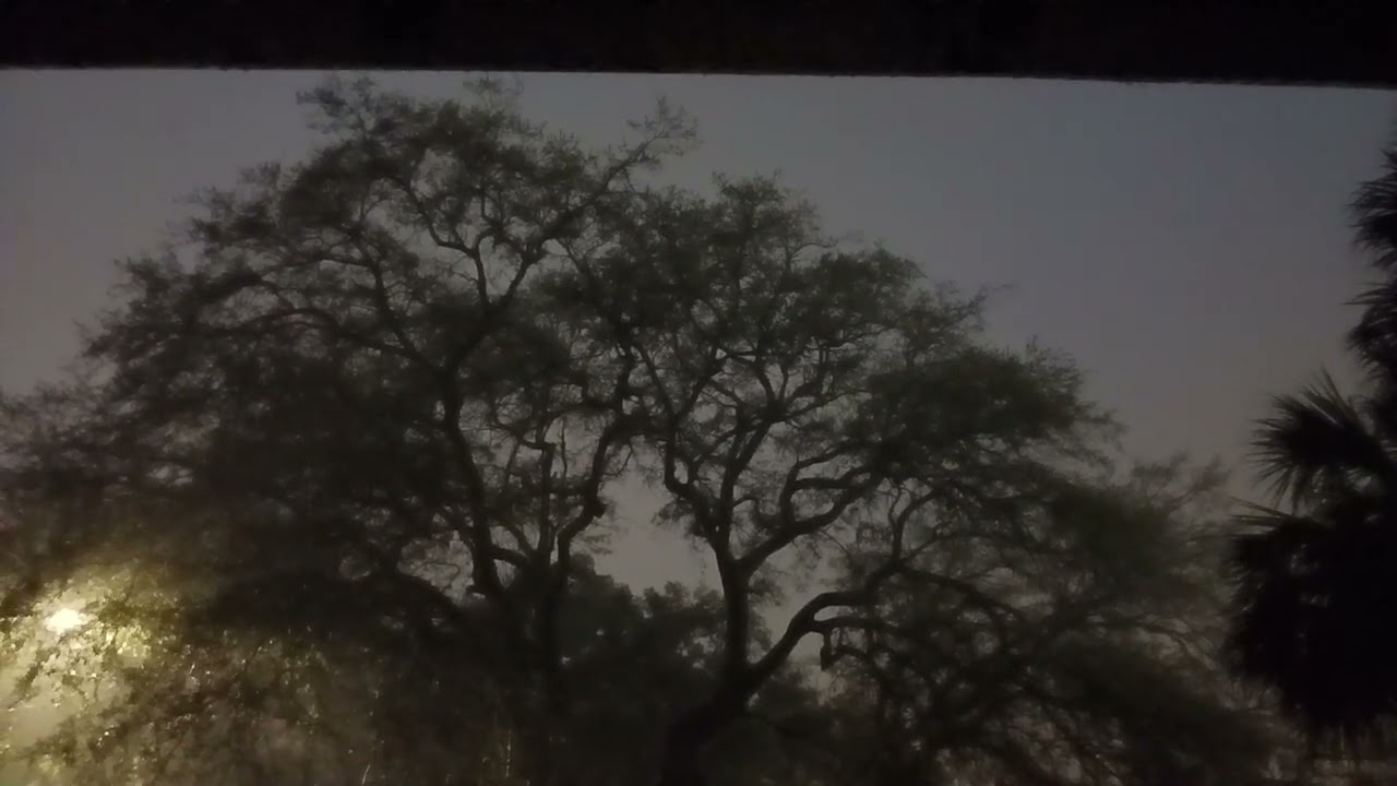 FIRST DAY OF MARCH 2024 RAINY NIGHT JACKSONVILLE FL