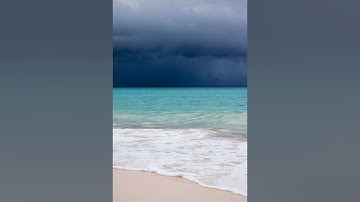 سورة لقمان..تلاوة مباركة للقارئ الشيخ وليد سليمان .