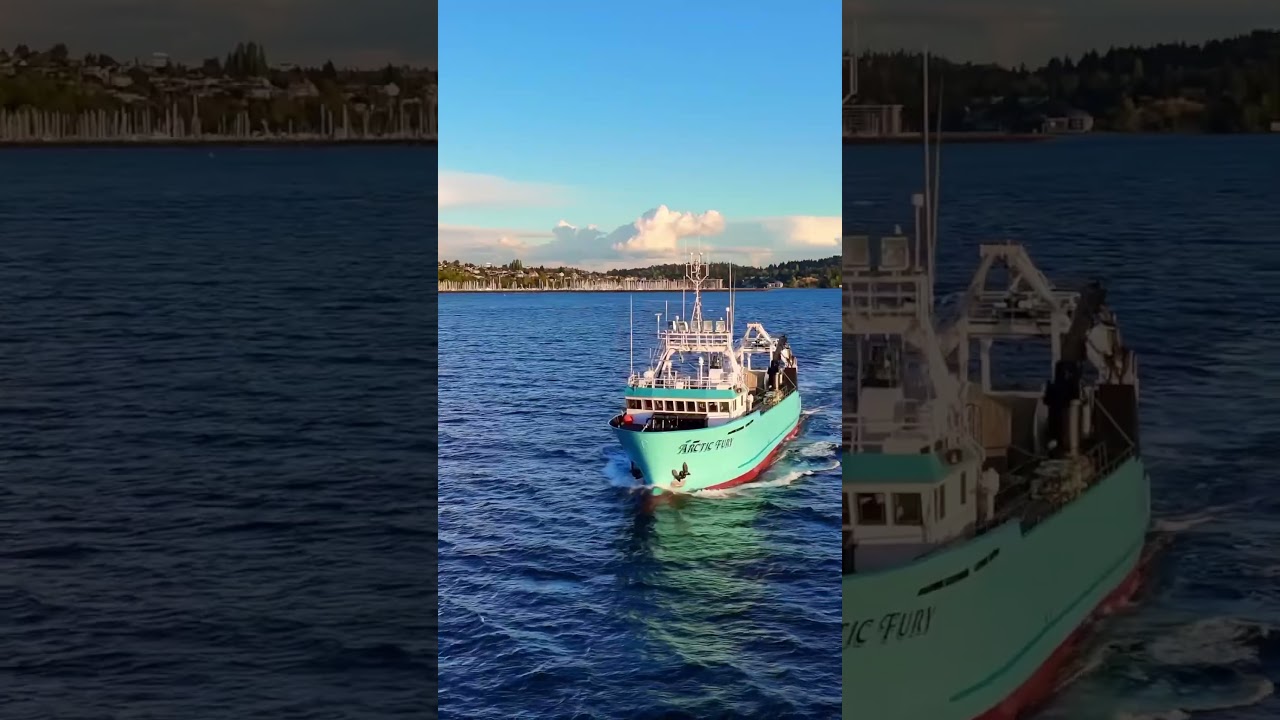 Aerial Splendor: Golden Gardens Park and Puget Sound