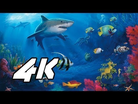 relax music bgm channel 4k sony demo aquarium video for sleep relaxation