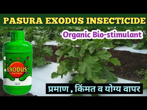 pasura exodus insecticide | exodus insecticide | organic insecticide ...