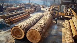The Complete Wood Production Journey | Giant Logging Machines & Modern Sawmill Technology