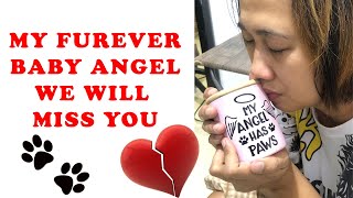 MY FUREVER BABY  GARLIC IS NOW AN ANGEL by jade bonillo 383 views 3 weeks ago 3 minutes, 26 seconds