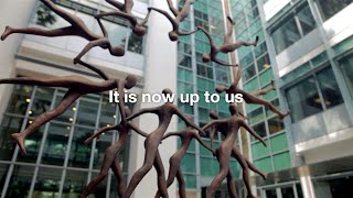 The INSEAD Executive MBA: Lessons from the Programme of a Lifetime