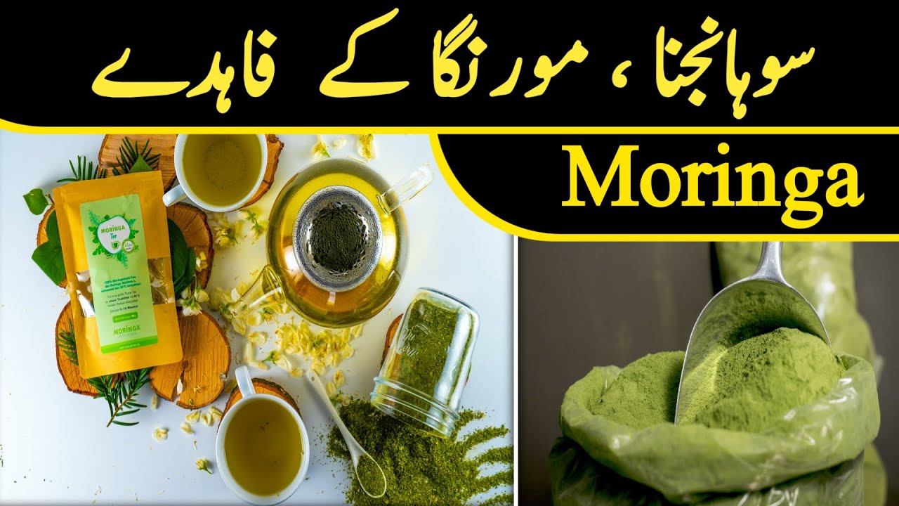 Moringa Benefits مورنگا | How to Use Moringa Powder or Leaves ...