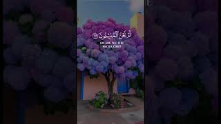 Quran melodius voice