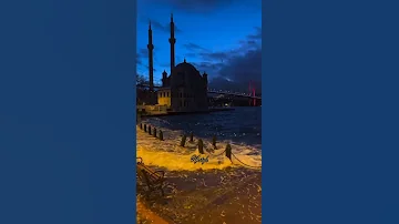 تملي معاك عمرو دياب حالات واتس تصميمي اكسبلور لايك 