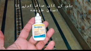 Cat Ear Cleaning Drops || Cat Ear Cleaning At Home || #catlover #shorts #persiancatgujranwala by persian cat Gujranwala 99 views 4 months ago 1 minute, 42 seconds
