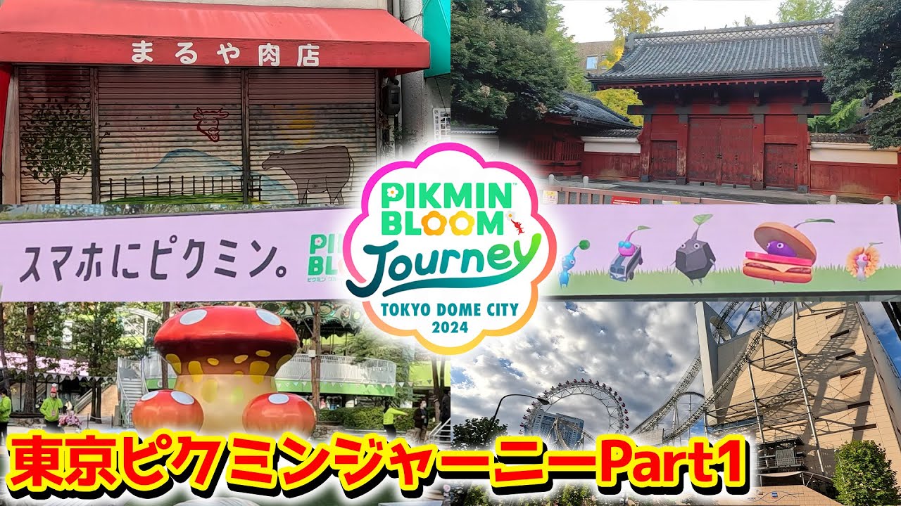【ピクミンブルーム】東京ピクミンジャーニーPart1【Pikmin Bloom】