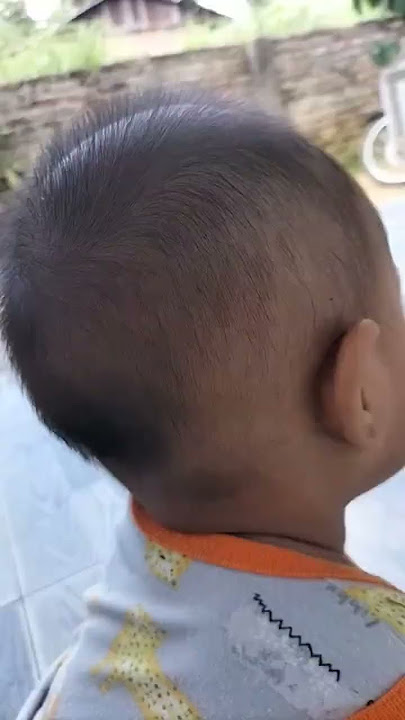 sheliana