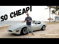 The $5,000 Corvette C3 is a BARGAIN!!