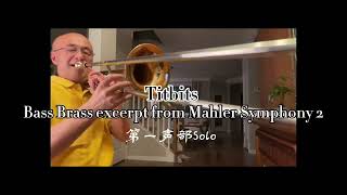 Bass Brass excerpt from Mahler Symphony 2 / Trombone-HAO GUO