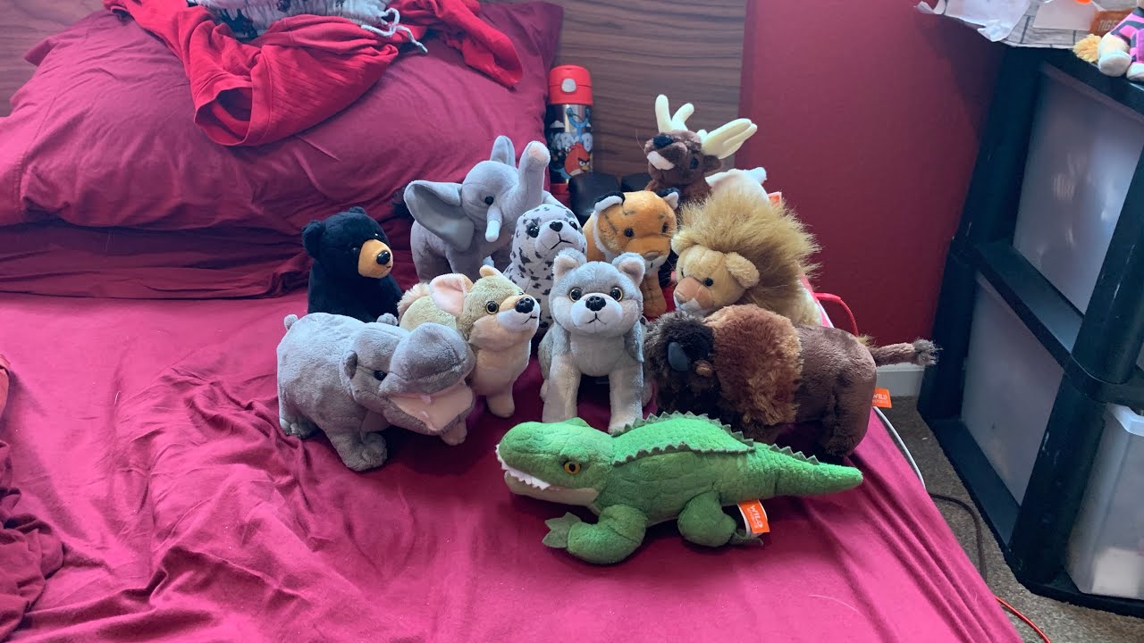 Random video: Wild republic wild calls sounds