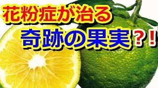 「花粉症が治る奇跡の果実」と大注目！の北山村の【じゃばら】とは？!