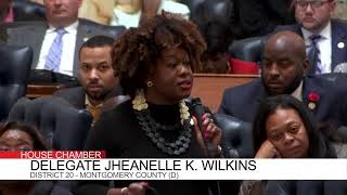 House Floor Session, 4/7/2023 #2