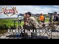 1125 Yard Varmint Kill - Long Range Rockchuck Shooting