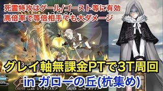 Fgo 死霊特攻を活用 グレイ軸無課金ptで3ターン周回 In ガローの丘 Fate Grand Order Youtube