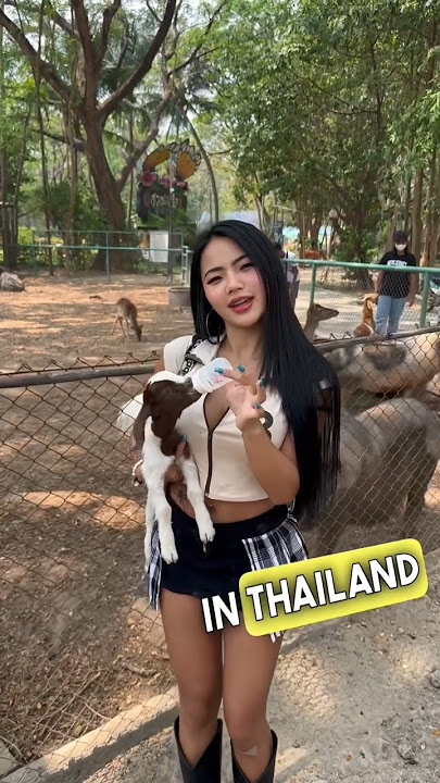 Learn Thai with Praew 🌸 #learnthai #viral #shorts
