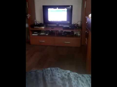 Хвох 360 - YouTube
