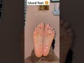 island feet #new #feetshorts #pedicure #footpedicure