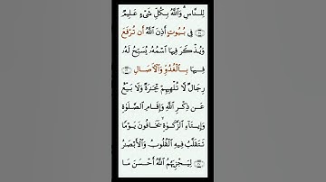 سوره النور بصوت القارئ سعد الغامدي #القرآن_الكريم #راحة_نفسية #اطمئن #رمضان