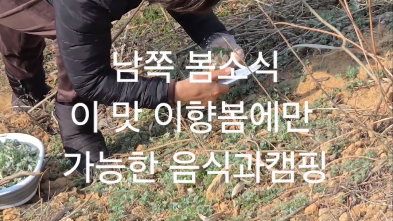 봄봄봄 향기와 맛 과 캠핑#봄소식#캠핑#노지차박#노지캠핑#캠핑장#캠핑카#소형캠핑카#