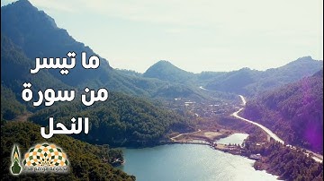 تلاوة ندية من سورة النحل بصوت القارئ عمرو الدريني