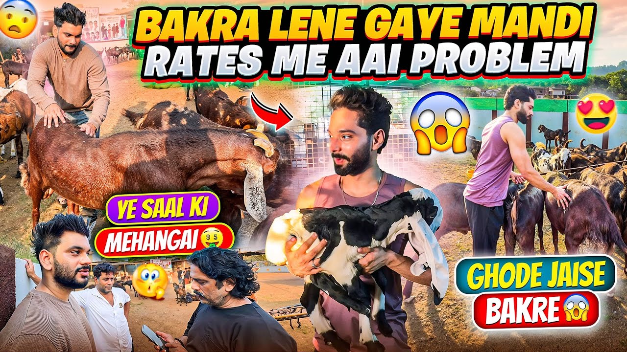 Bakra Lene Gaye Mandi | Rates Me Aai Problem 😱| Fokats | Abresh & Zeeshan
