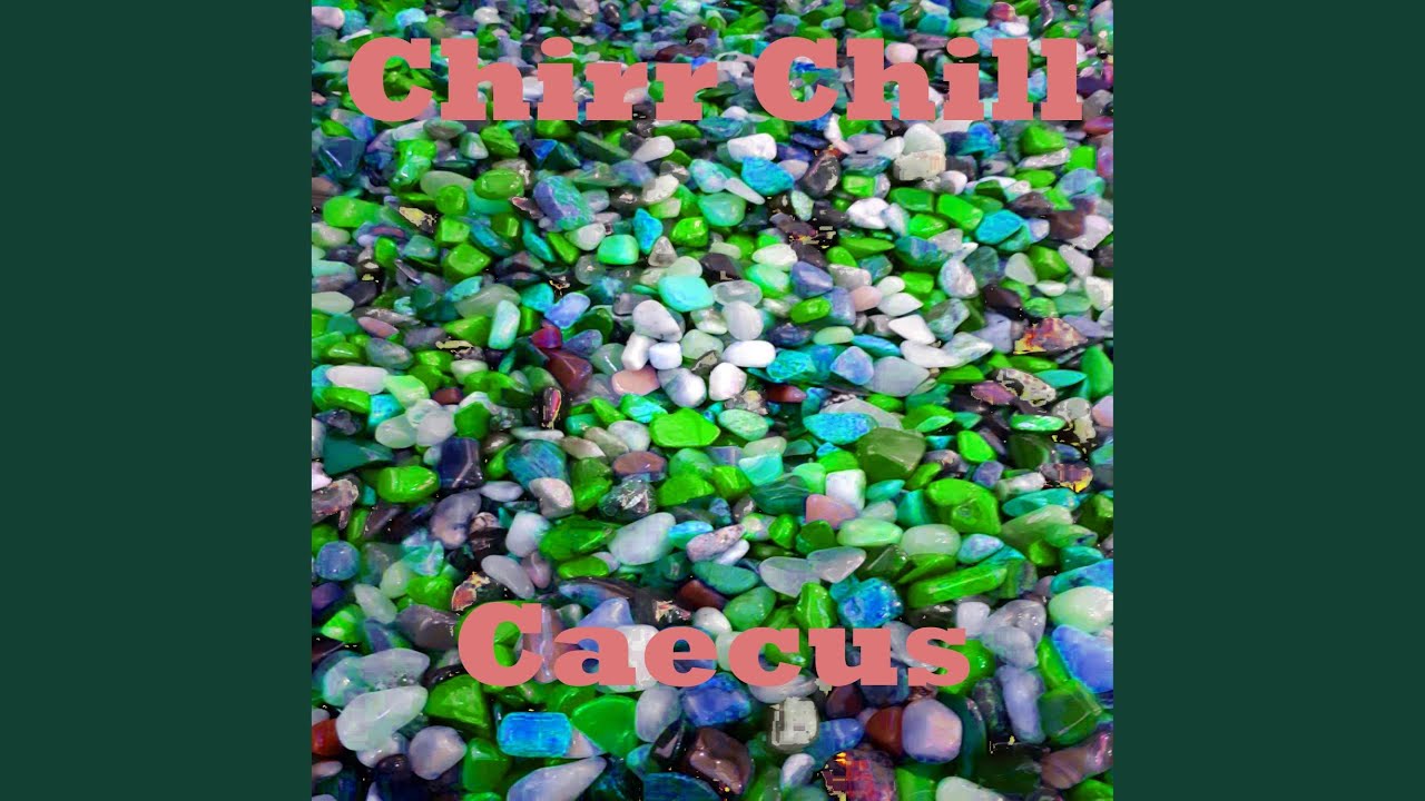 Watch Caecus on YouTube Watch Caecus on YouTube