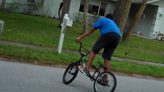 SPRING BREAK BMX 2010