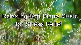Relaxing Soft Piano Music ,for Stress Relief.  Meditation  .Relaxation Helps screenshot 4