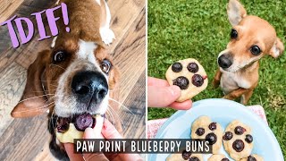 TDIF! Homemade Dog Treats - Paw Print Blueberry Buns