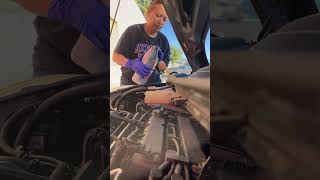 I Spilled the Coolant! O'Reilly Pre-Mixed Antifreeze