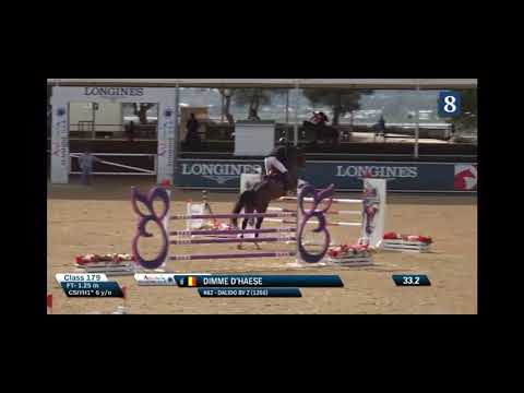 Dalido BV Z - CSIYH1* 6y old - Vejer de la Frontera - 22 02 2024