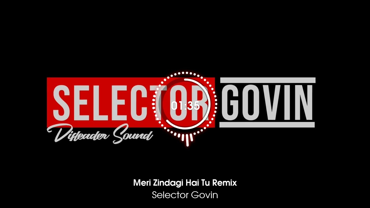 Meri Zindagi Hai Tu Remix | Selector Govin